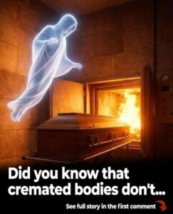 When It Comes To Faith, What Happens To Your ‘Soul’ After Cremation?