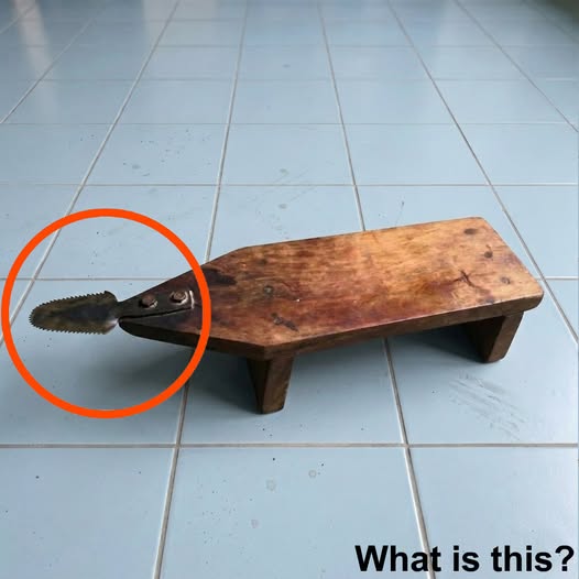 Forgotten Object in Garage Revealed as Traditional Coconut Grater Tool Coconut
