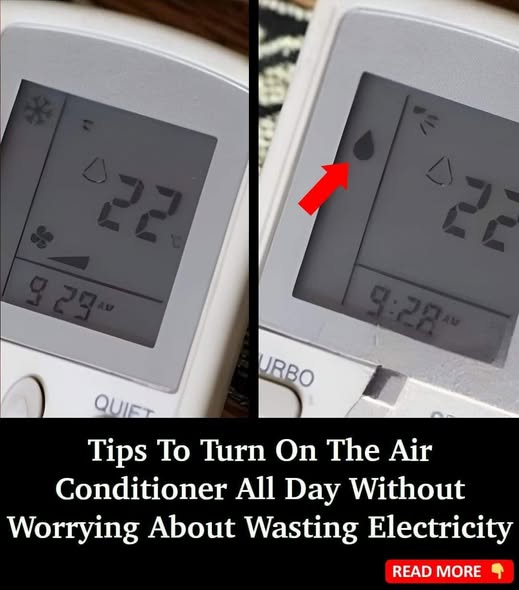 Tips to Keep Your Air Conditioner Running Efficiently Without Breaking the Bank