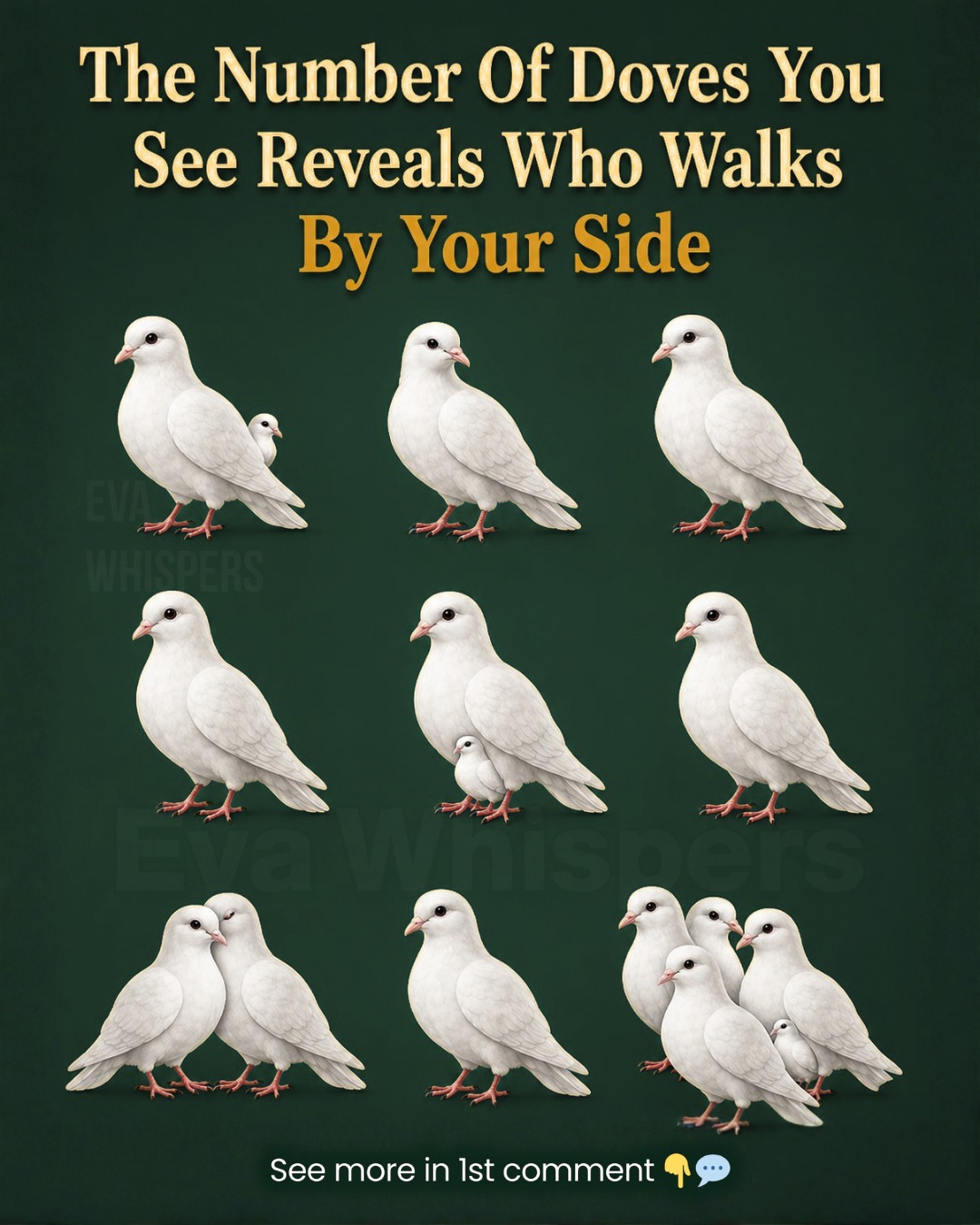 The Number of Doves You See First Reveals Who Walks Beside You