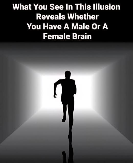 8 fascinating optical illusions that challenge your self-awareness