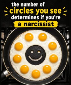 How Many Circles Do You See? A Fun Visual Puzzle That Tests Your Attention