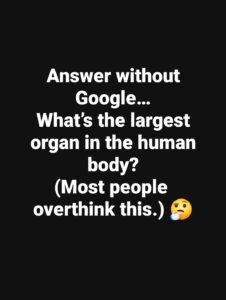 A Guide to the Interstitium, the “New Organ” That Isn’t Actually New