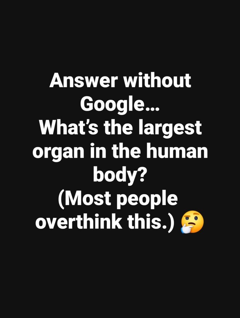 A Guide to the Interstitium, the “New Organ” That Isn’t Actually New