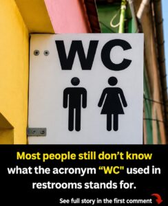 Some people are only now realizing what the “WC” sign stands for on washrooms