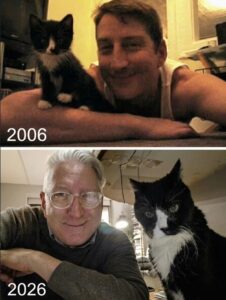 8 Ways To Tell If Your Cat Actually Likes You Or Just Tolerates You