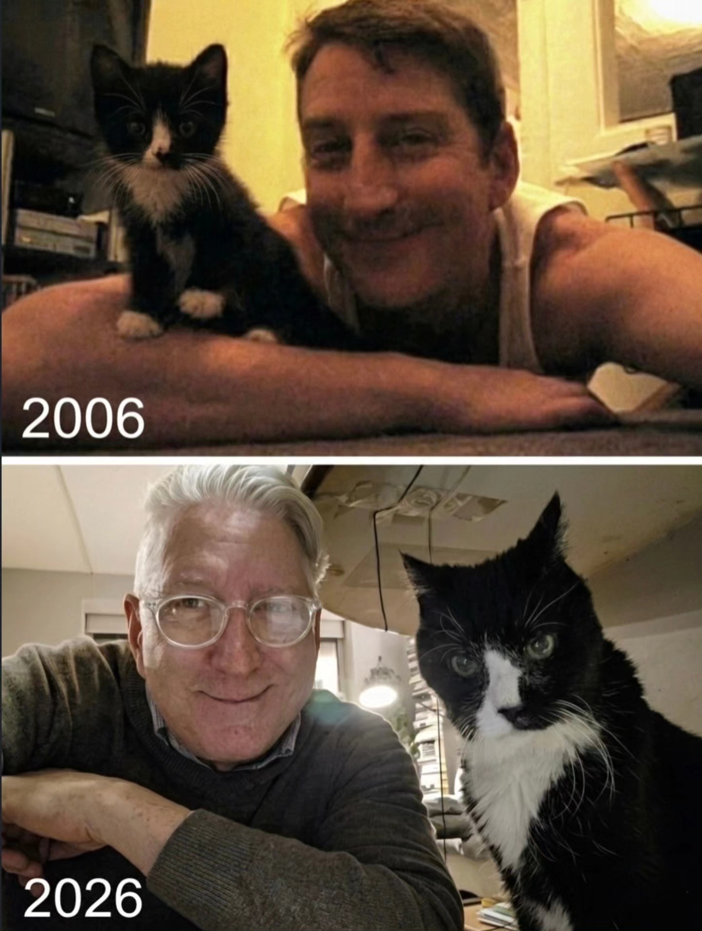 8 Ways To Tell If Your Cat Actually Likes You Or Just Tolerates You