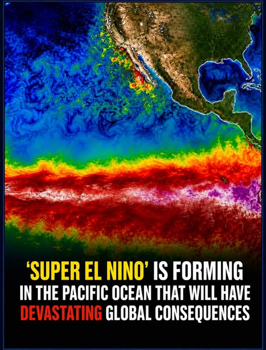 This Year’s ‘Super El Niño’ Could Rewrite Climate Records – What Scientists Are Saying