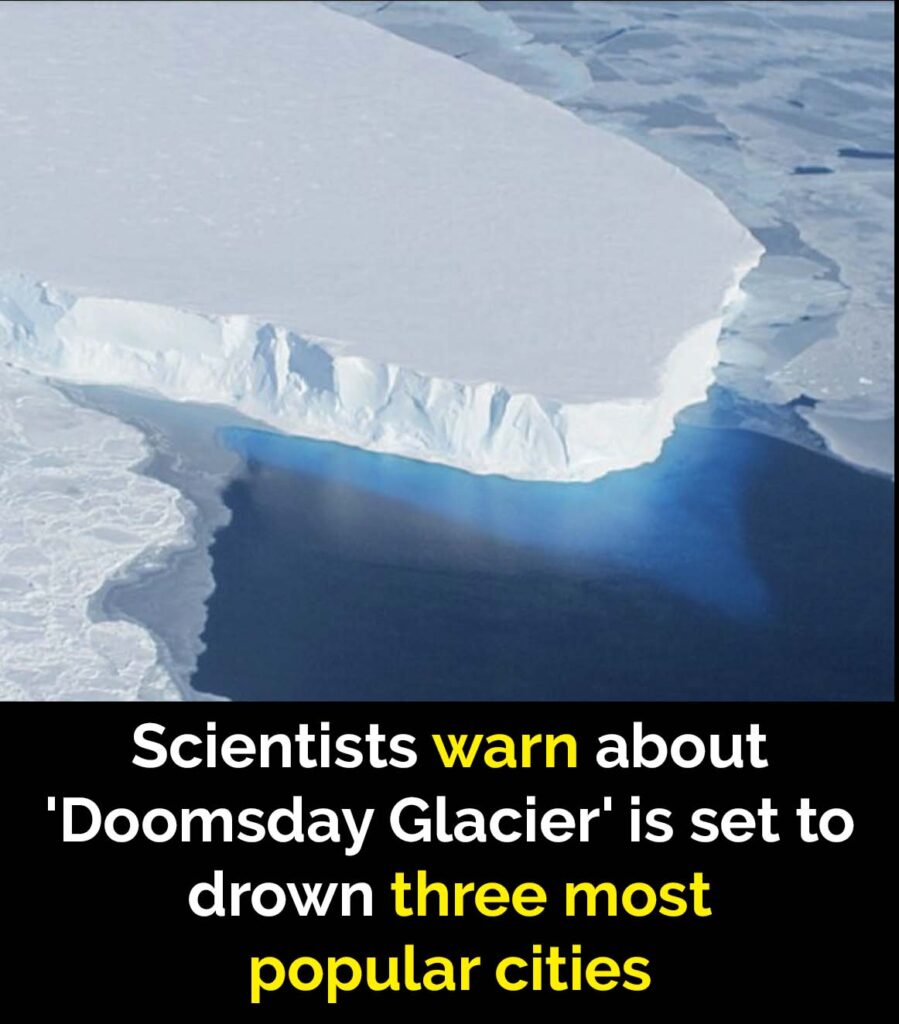 ‘Doomsday Glacier’ could swallow major cities amid collapse risk