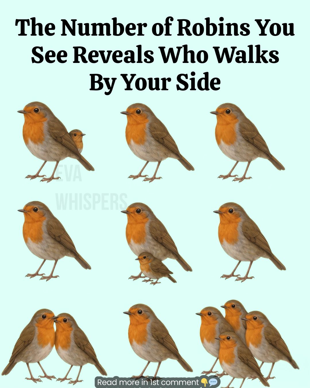 The Spiritual Bird Test: The Number of Robins You See Reveals Who Walks By Your Side