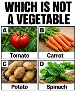 Are You Able To Answer These Tricky Questions