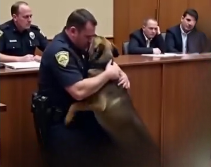 A Former Police Officer Asked to See His K9 Partner One Last Time Before Sentencing — But When the German Shepherd Entered the Courtroom, Nobody Could Have Anticipated What Happened Next