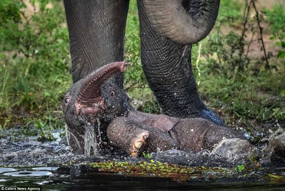 A Mother’s Strength at the Water’s Edge.