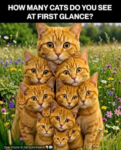 Check your personality based on how many cats you can spot