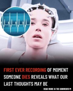 Discover more Family photography services Parenting advice resources Relationship advice books Amazing The first recorded scan of a dying human brain suggests possible ‘life recall’ activity
