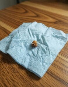 What Fell Out of Her Hair During a Shower Turned an Ordinary Night Into Pure Panic
