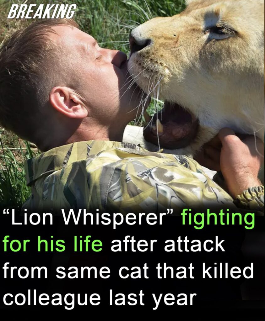 ‘Lion whisperer’ critically injured by same cat that killed colleague last year