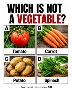 Are You Able to Solve This Tricky Question?