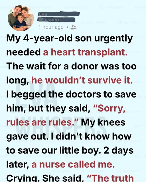 My 4-Year-Old Needed a Heart Transplant Urgently—The Miracle Came From Someone We’d Never Met