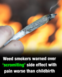 What is ‘scromiting’? US citizens warned about terrifying cannabis side effect
