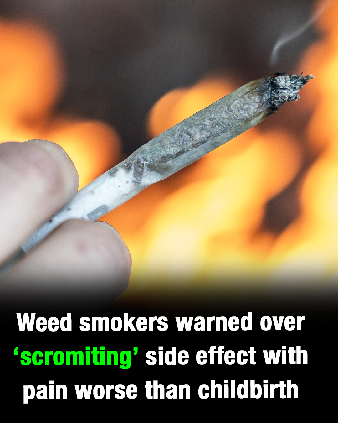 What is ‘scromiting’? US citizens warned about terrifying cannabis side effect
