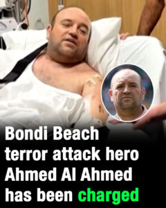 Bondi Beach terror attack hero Ahmed Al Ahmed has been charged