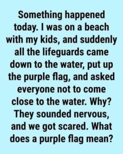 Why You Might See a Purple Flag Flying at the Beach