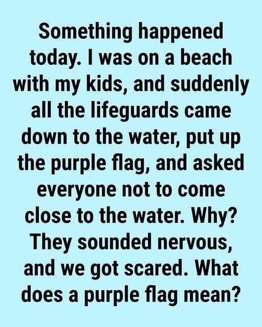 Why You Might See a Purple Flag Flying at the Beach