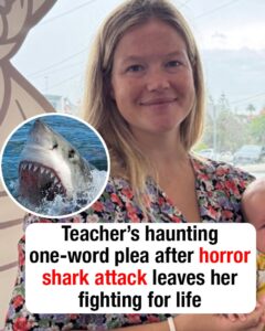 Teacher’s haunting one-word plea after horror shark attack leaves her fighting for life