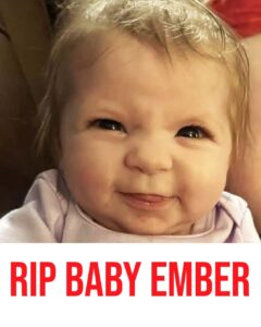 6-month-old dies after family member’s dog attacks her