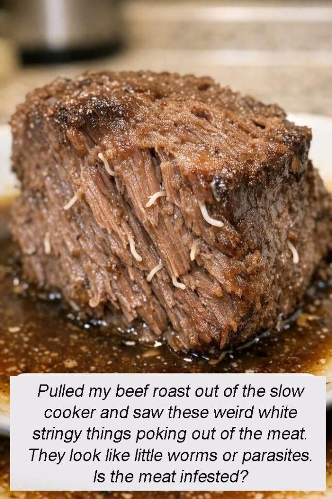 Pulled my beef roast out of the slow cooker and saw these weird white stringy things poking out of the meat. They look like little worms or parasites. Is the meat infested?