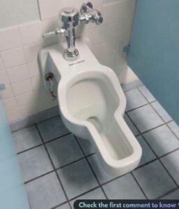 Huntsville Space Center Explores Women’s Urinals: A Modern Shift in Hygiene, Efficiency, and Inclusive Design