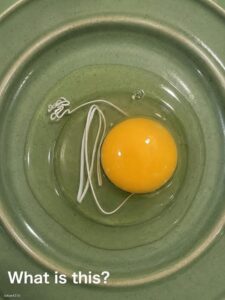This morning, I woke up and decided to make fried eggs.