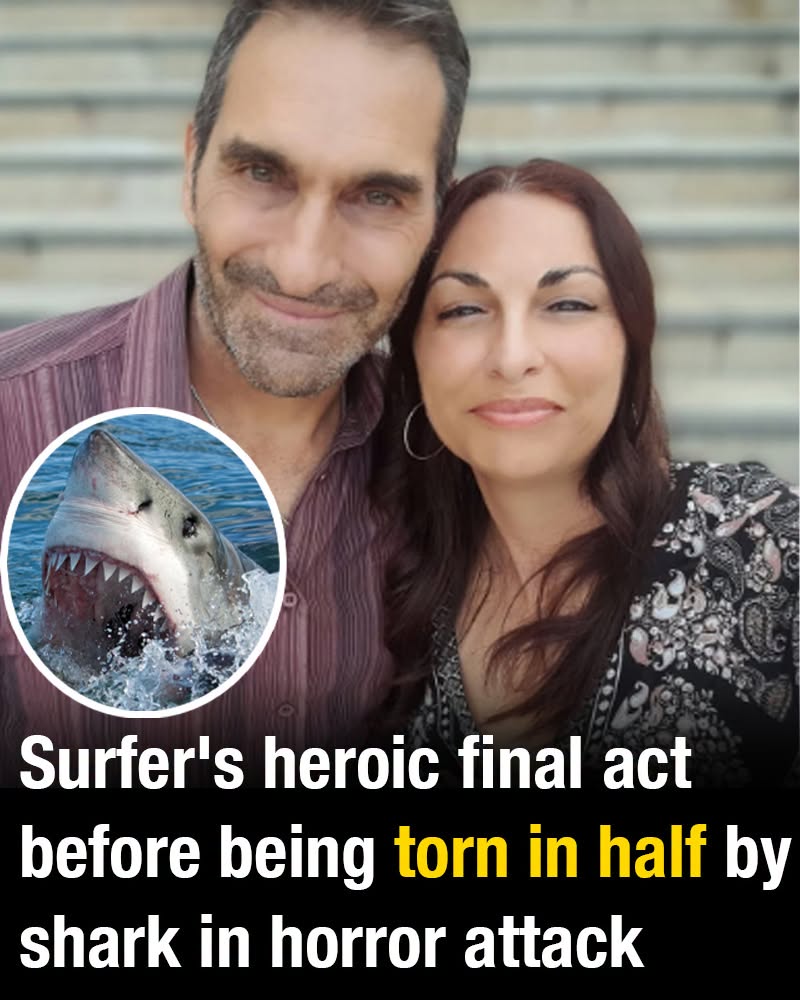 Surfer’s heroic final act before being torn in half by shark in horror attack