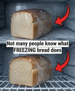 Here’s what happens when bread goes into the freezer.⬇️