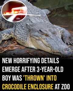 New horrifying details emerge after 3-year-old boy was ‘thrown’ into crocodile enclosure at zoo