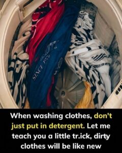 STOP DESTROYING YOUR CLOTHES: The Plastic Bottle Hack That Will Save Your Wardrobe Forever