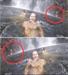 How a Simple Image Can Challenge Your Perspective and Reveal Hidden Details