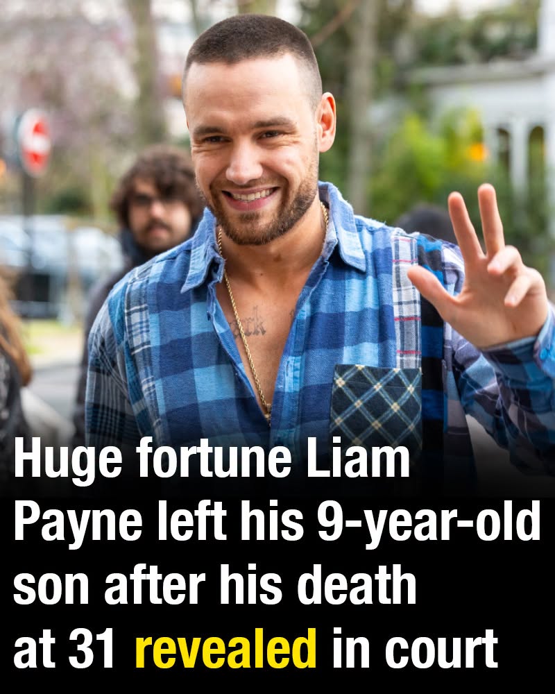 Huge fortune Liam Payne left his 9-year-old son after his death at 31 revealed in court