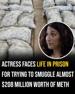 Actress faces life in prison for trying to smuggle almost A$296 million worth of meth