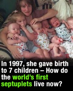 World’s first surviving septuplets celebrate 26th birthday
