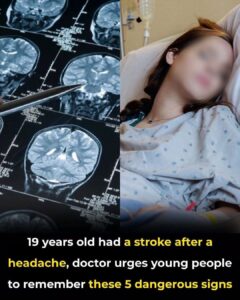 THE STROKE KILLER: 5 Terrifying Ways Your Body Is Sabotaging You Before A Massive Stroke