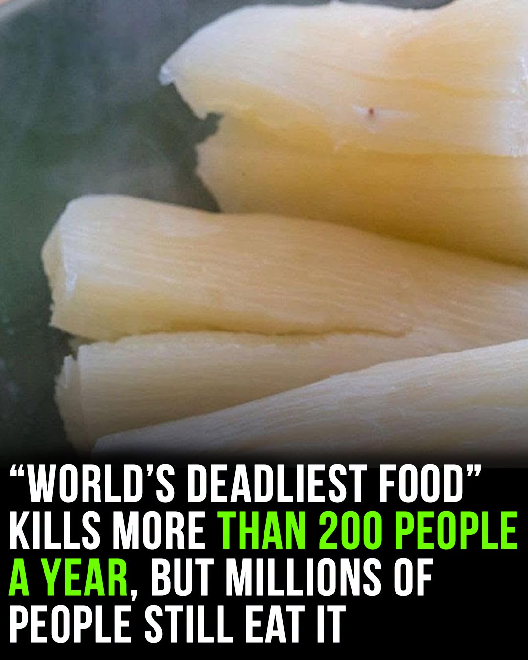 World’s ‘deadliest food’ kills 200 each year