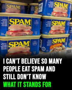 SPAM: What does it stand for, and what are its ingredients?