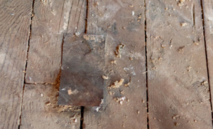 The Centuries-Old Tool Woodworkers Still Rely On Today