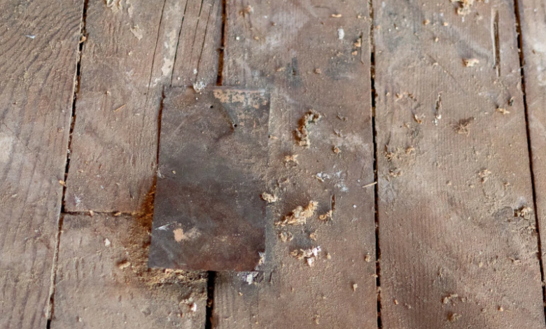 The Centuries-Old Tool Woodworkers Still Rely On Today