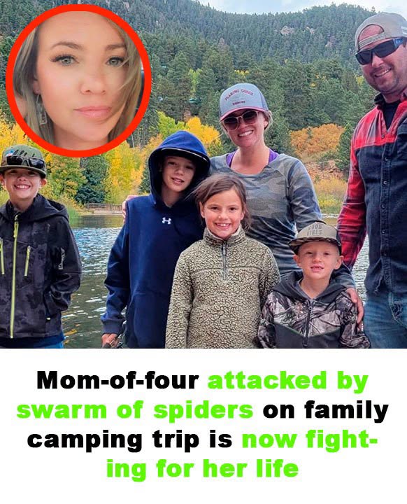 Mom-of-four bitten by swarm of spiders on family camping trip is now fighting for her life