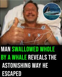 Man swallowed by humpback whale for 30 seconds shares how he escaped