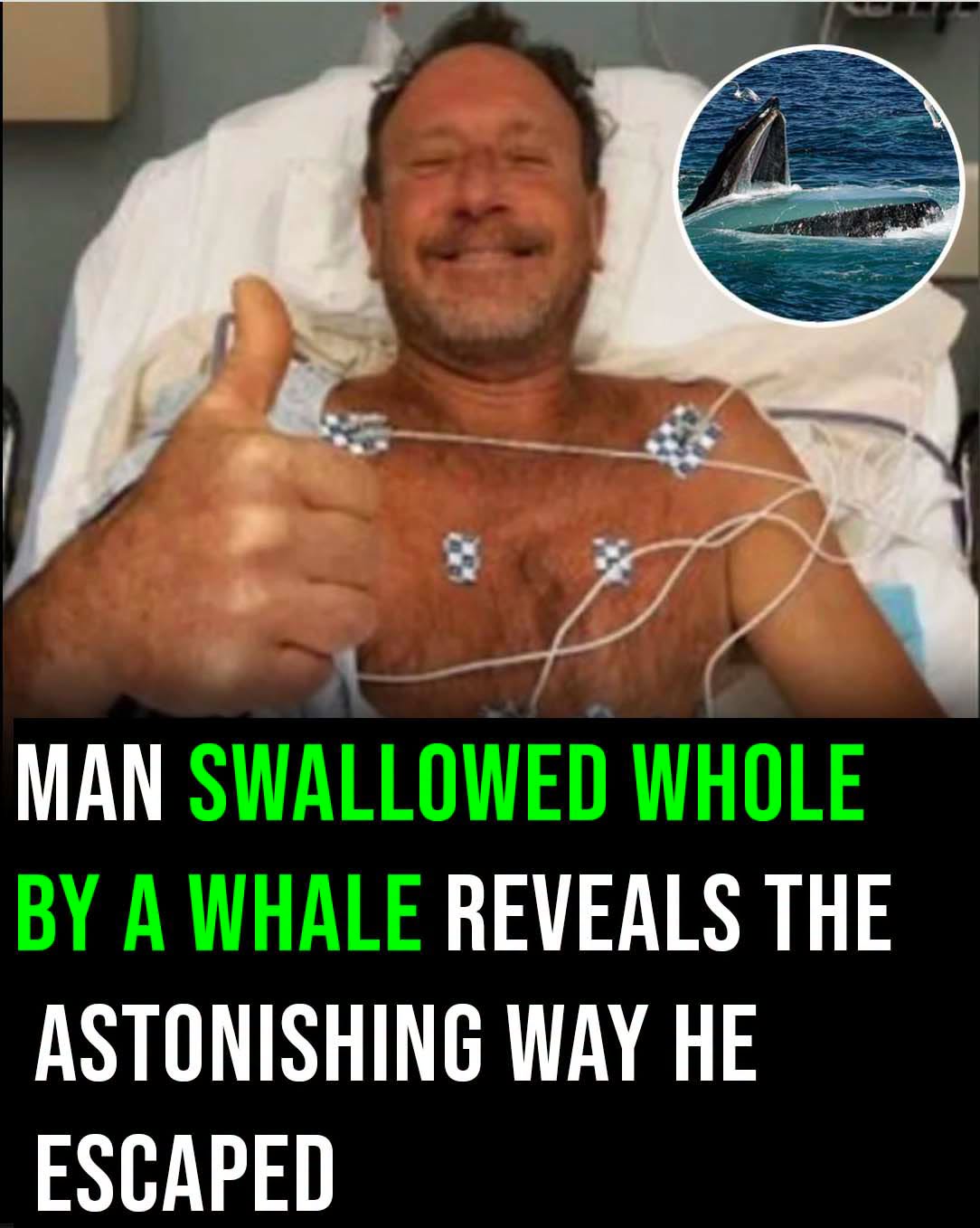 Man swallowed by humpback whale for 30 seconds shares how he escaped