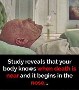 Research shows body senses death is near – starts in this body part